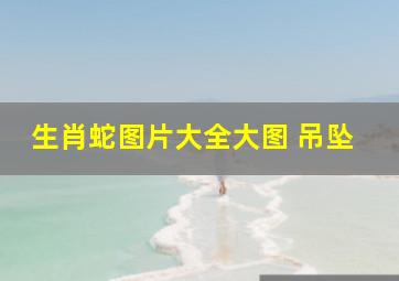 生肖蛇图片大全大图 吊坠